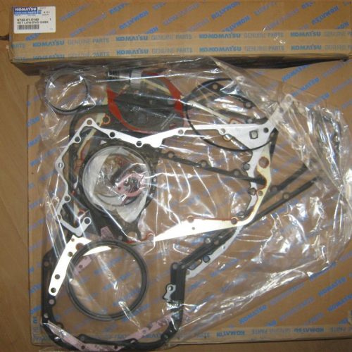 Микрофото GASKET SET 2