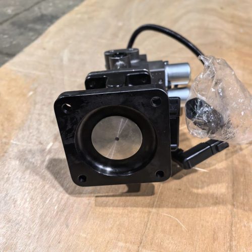 Микрофото Глапан ЕГР (срок 10 дней) 2